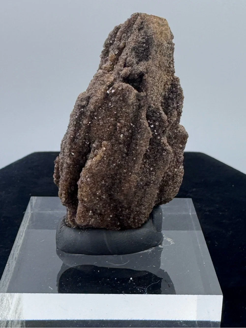 Druzy Petrified Wood Display Piece - Brilliant Alabama